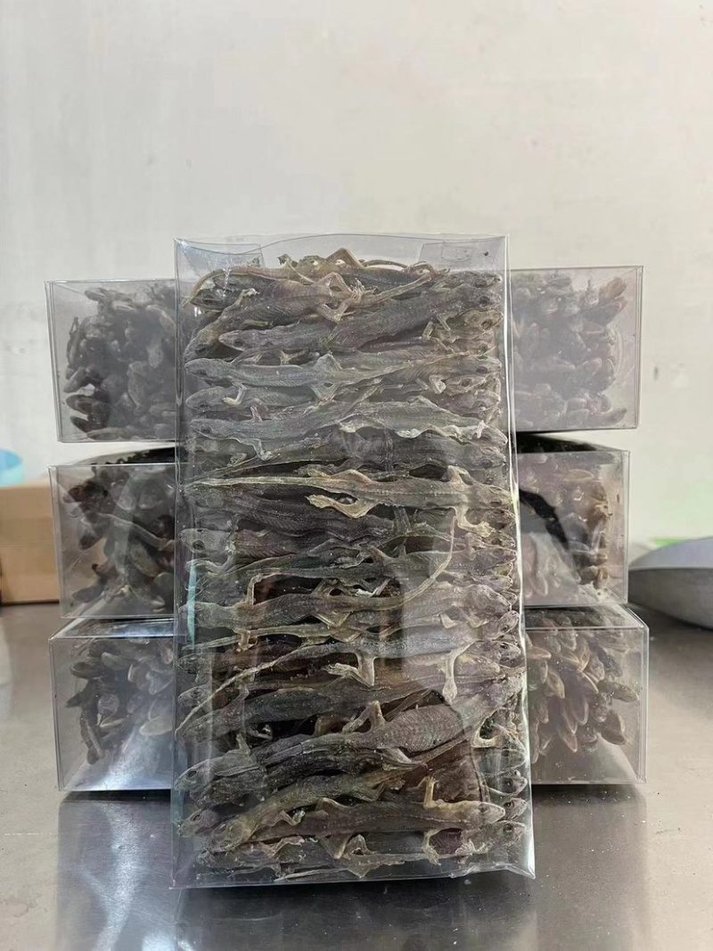 【优质商家】壁虎壁虎干天龙守宫一手货源