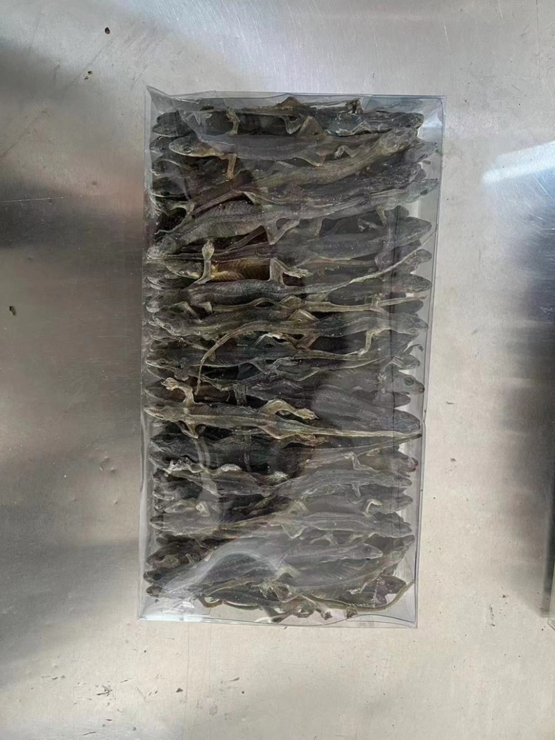 【优质商家】壁虎壁虎干天龙守宫一手货源