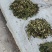 山野菜