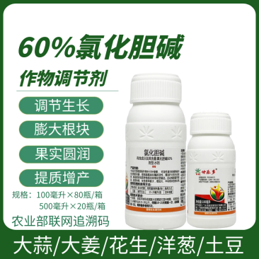 氯化胆碱60%大蒜大姜洋葱红薯花生药材姜地下根茎膨大剂