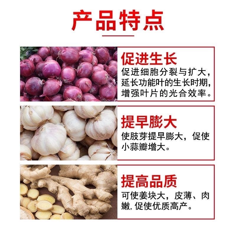氯化胆碱60%大蒜大姜洋葱红薯花生药材姜地下根茎膨大剂