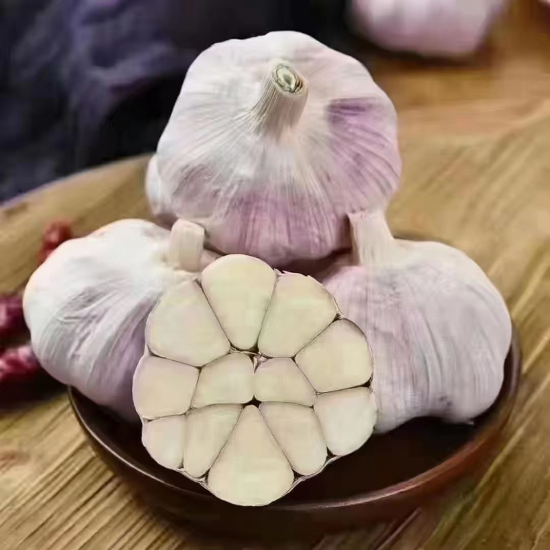 鲜蒜大蒜金乡大蒜产地直发一件代发