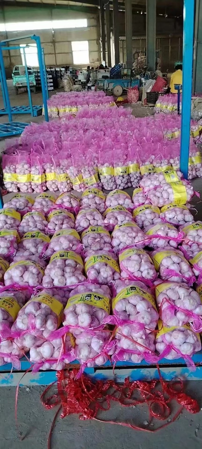 鲜蒜大蒜金乡大蒜产地直发一件代发