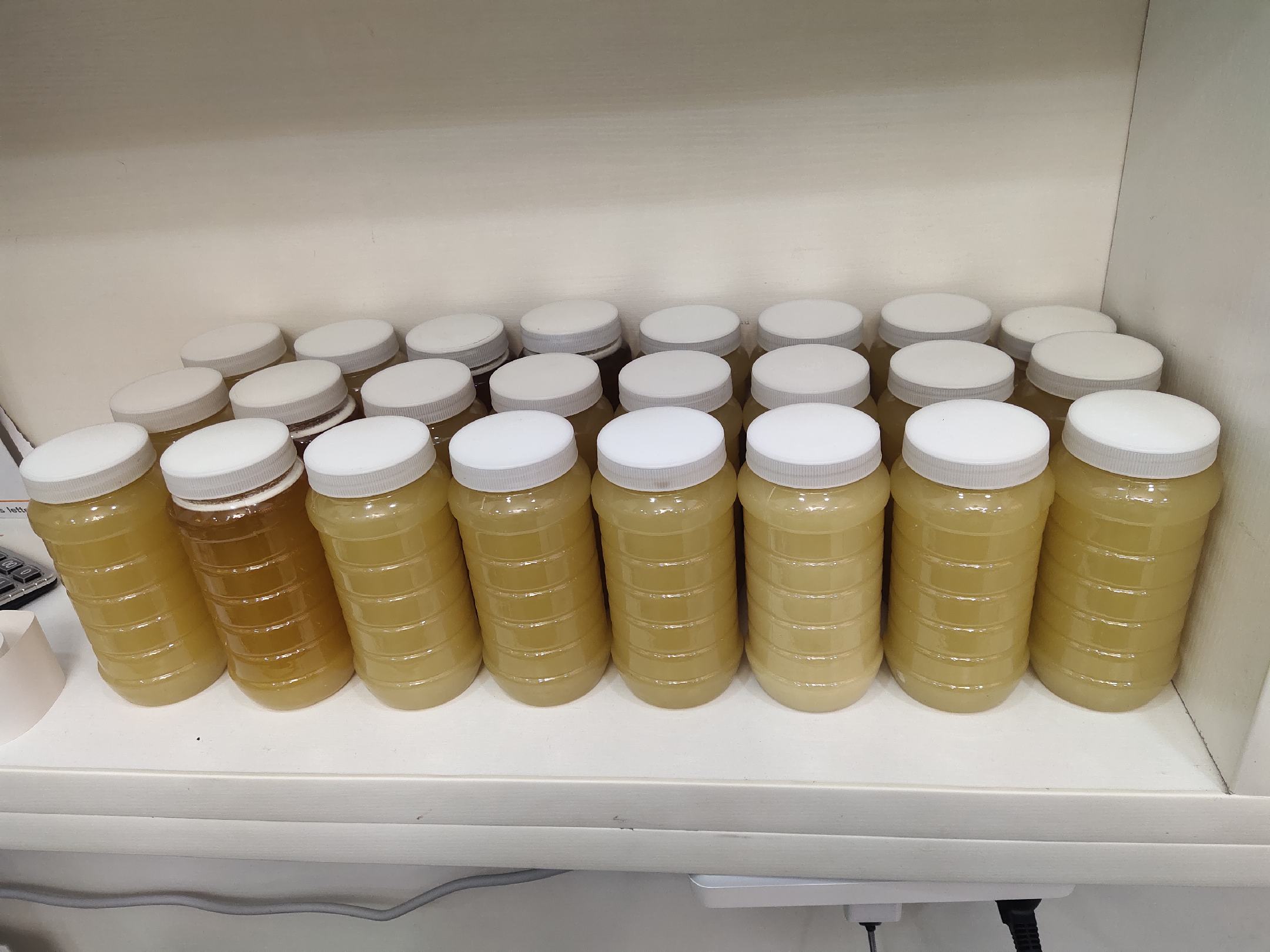 两个玻璃罐并排展示,左侧为液态金黄色洋槐蜜,右侧为乳白色细腻结晶的椴树蜜;下方标注‘天然蜂蜜可液可固,形态多样’字样,突出蜂蜜自然属性 蜂蜜结晶与液态对比图