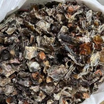 黑龙江林蛙皮