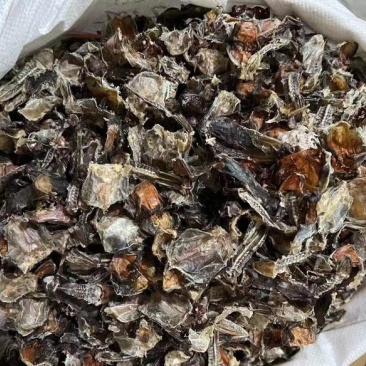 黑龙江林蛙皮