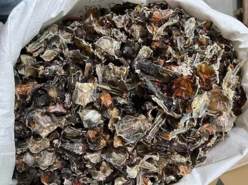 黑龙江林蛙皮