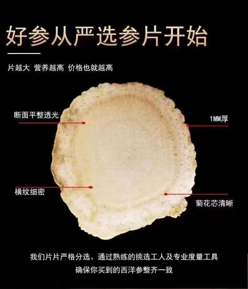 精选西洋参1.4~1.6规格西洋参片250克/瓶现货包