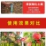 糖醇钾叶面肥快速补钾提早成熟，增加产量提高品质