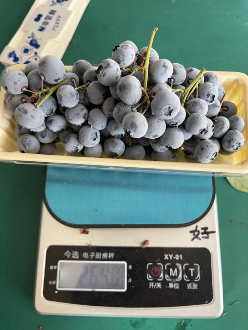 串果蓝莓，纯甜口，价格低