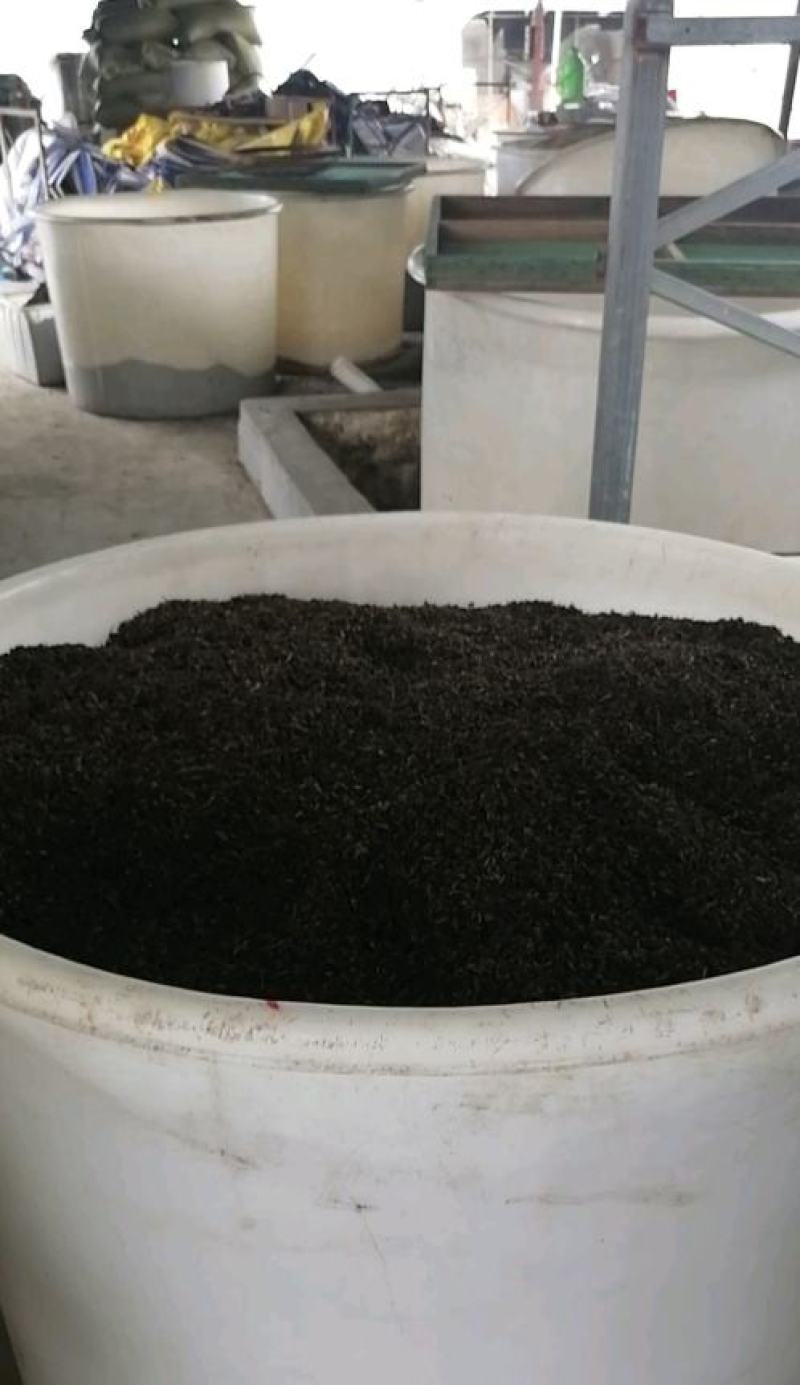 梅干菜，无沙低盐梅干菜，人工筛选去梗量大从优，欢迎采购