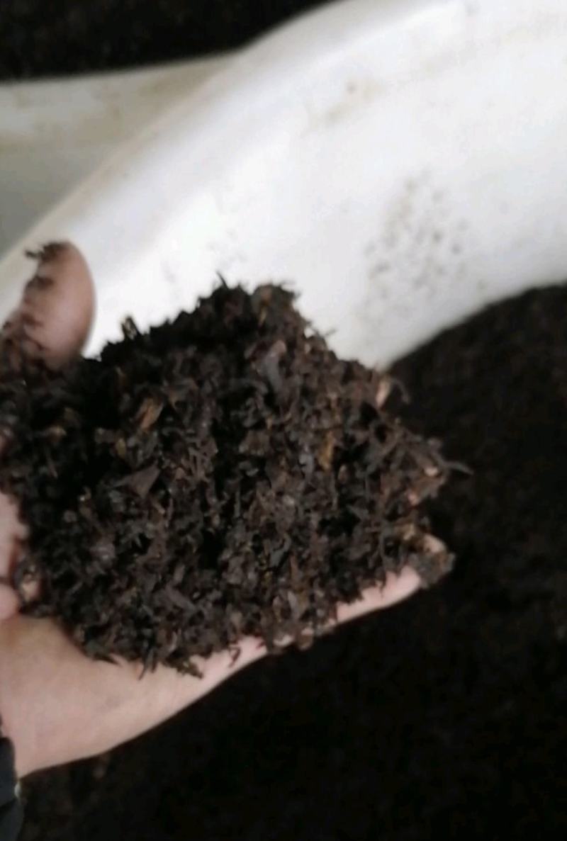 梅干菜，无沙低盐梅干菜，人工筛选去梗量大从优，欢迎采购