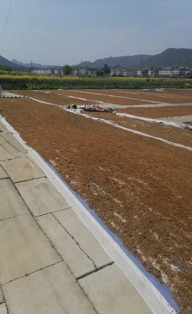 梅干菜，无沙低盐梅干菜，人工筛选去梗量大从优，欢迎采购