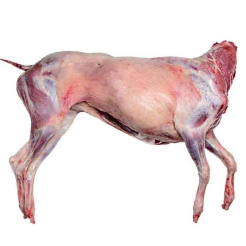 青海藏羊肉纯草膘草原放养肉质鲜嫩爽口质量保证价格优惠欢迎