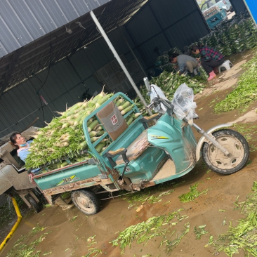 需要的朋友可以联系我