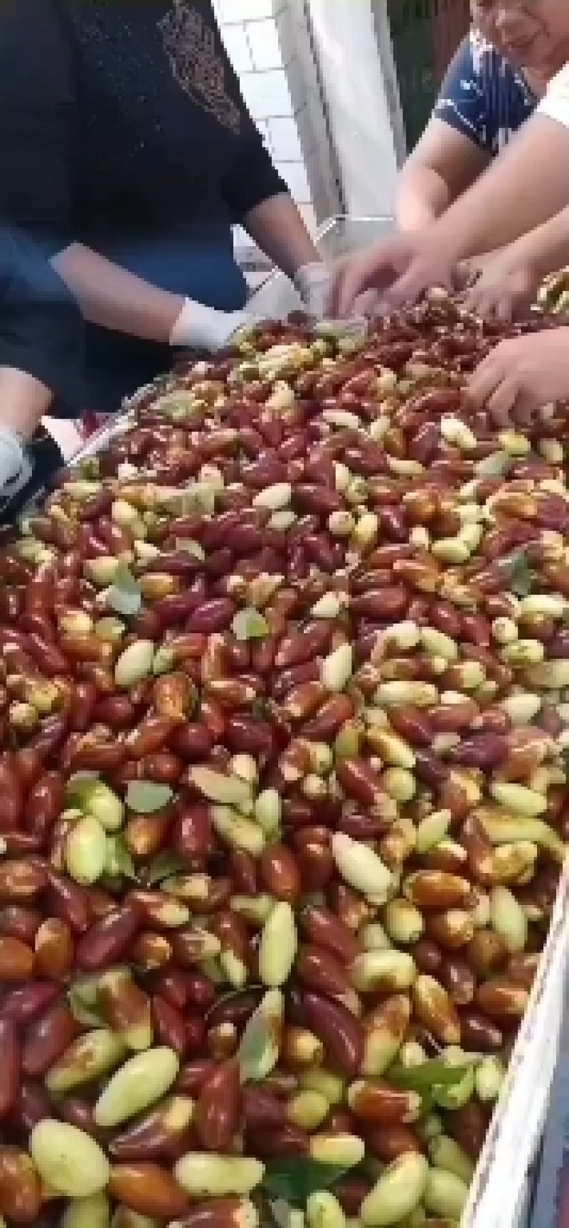 马牙栆，自然熟，产地直发自然熟，口感甜脆