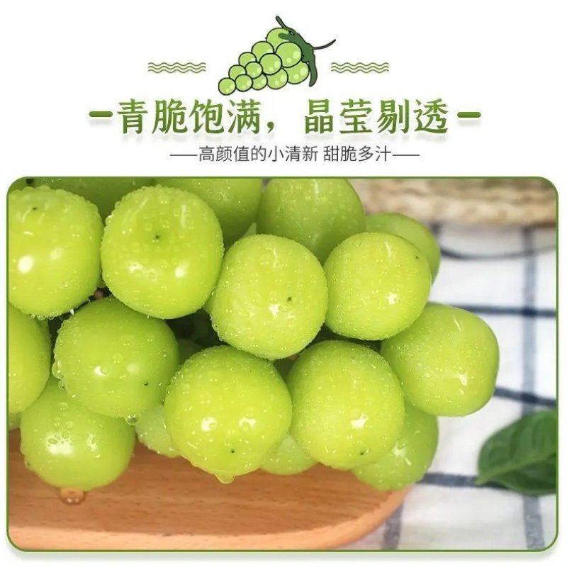 【现货】阳光玫瑰，优选葡萄，河北产地供货，新鲜水果批发