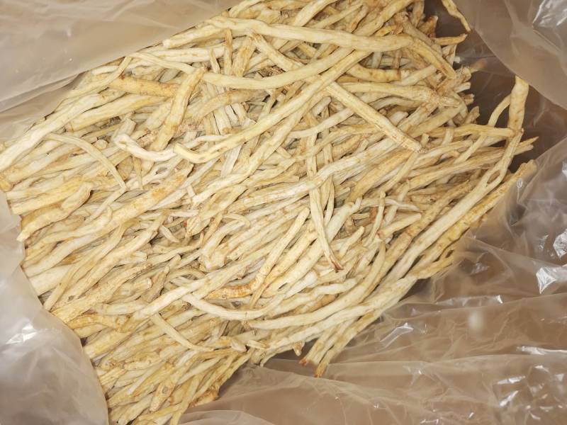 川明参，沙参，明党参，各规格齐全，产地直发