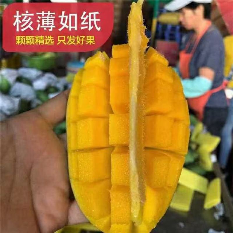 芒果水果肉厚核小香甜无丝鲜嫩多汁当季生鲜芒果