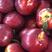 精品油桃白红油桃大量上市全国发货可视频看货