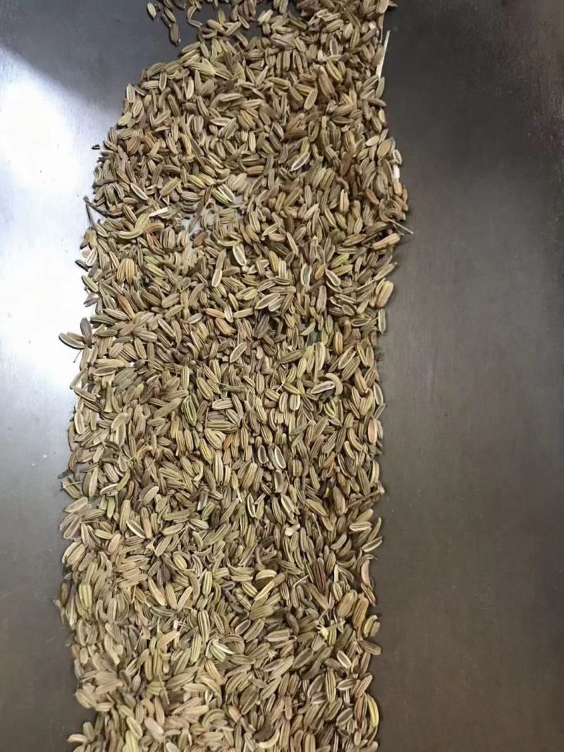 小茴香调料大全