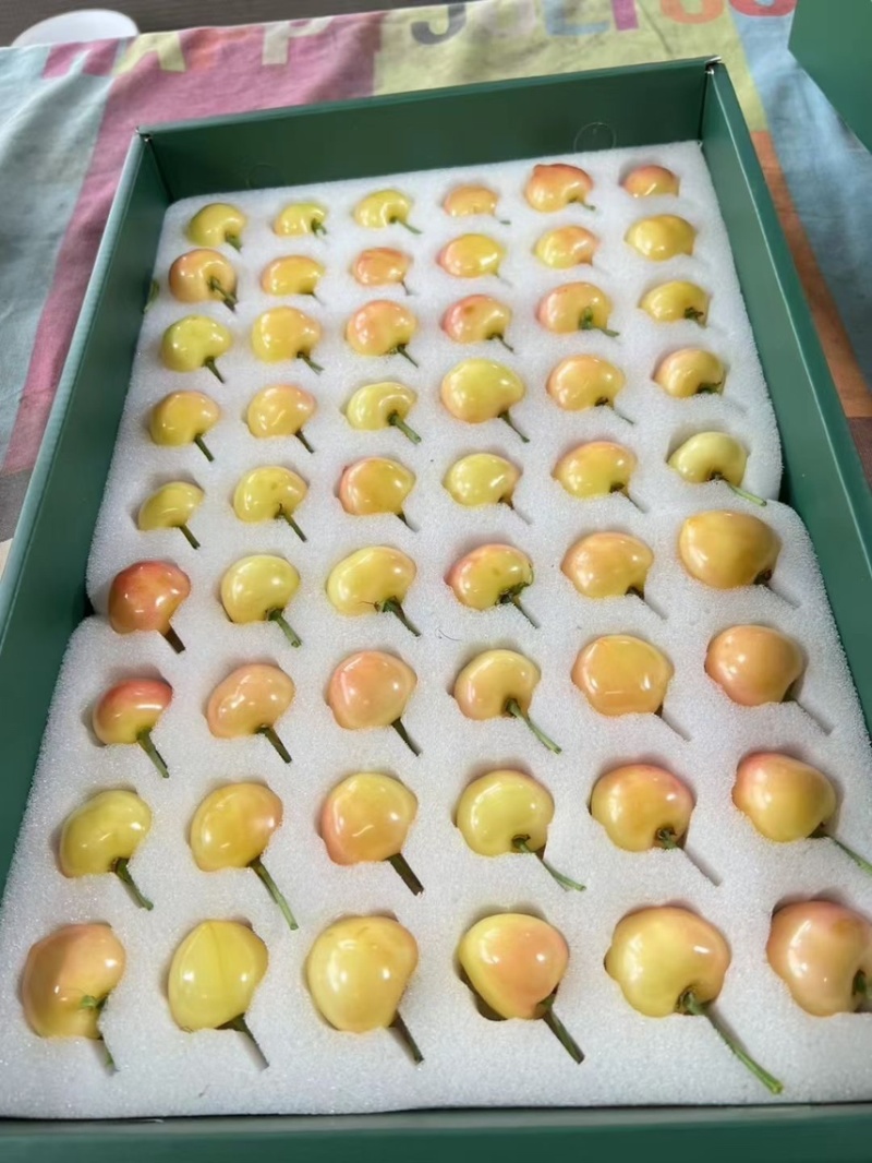 大连佳红黄蜜樱桃硬脆甜大量现货可一件代发