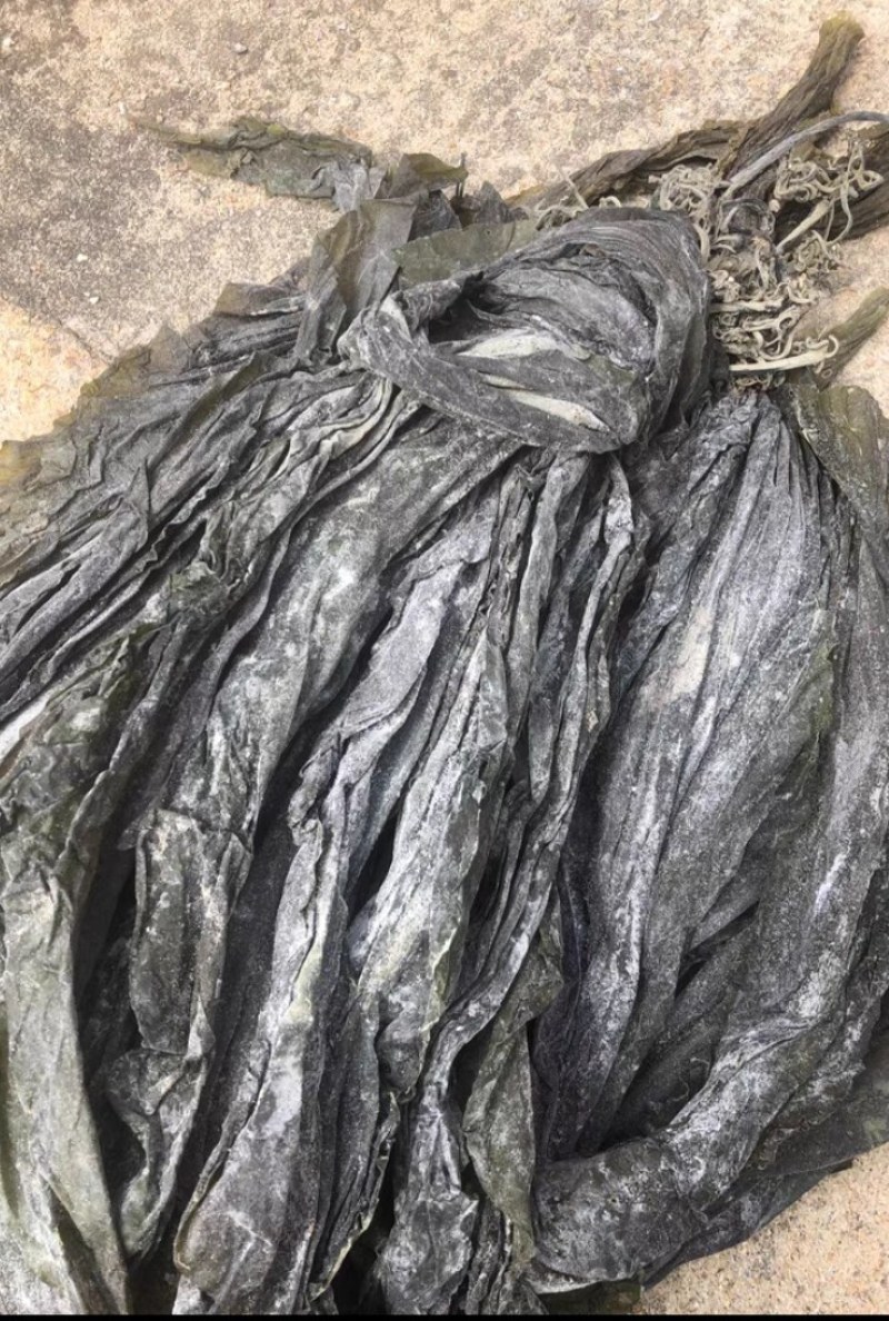 福建海带无沙自厂自销，价格优惠
