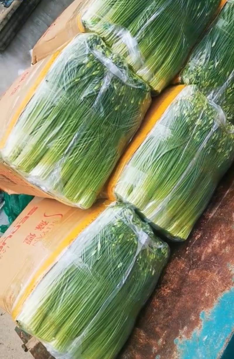 韭菜苔，精品韭苔！各种包装都有，基地一手货源，常年供应！