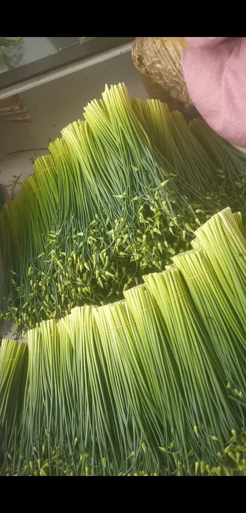 韭菜苔，精品韭苔！各种包装都有，基地一手货源，常年供应！