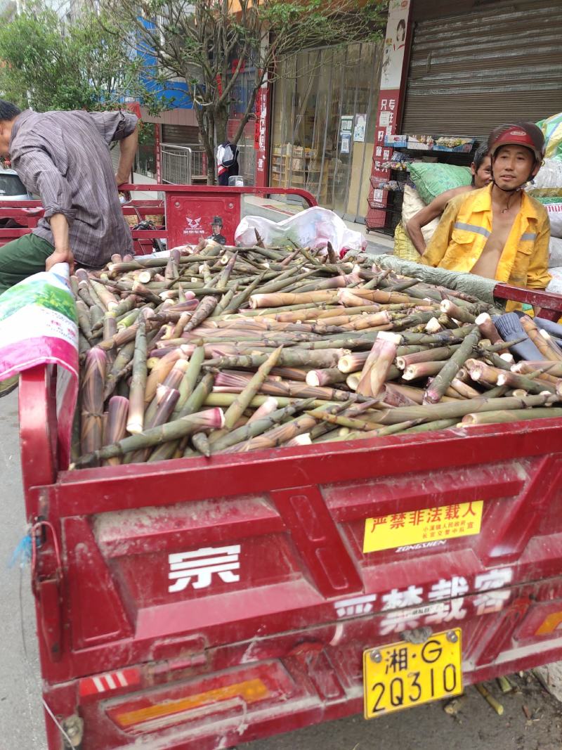 鲜竹笋带壳