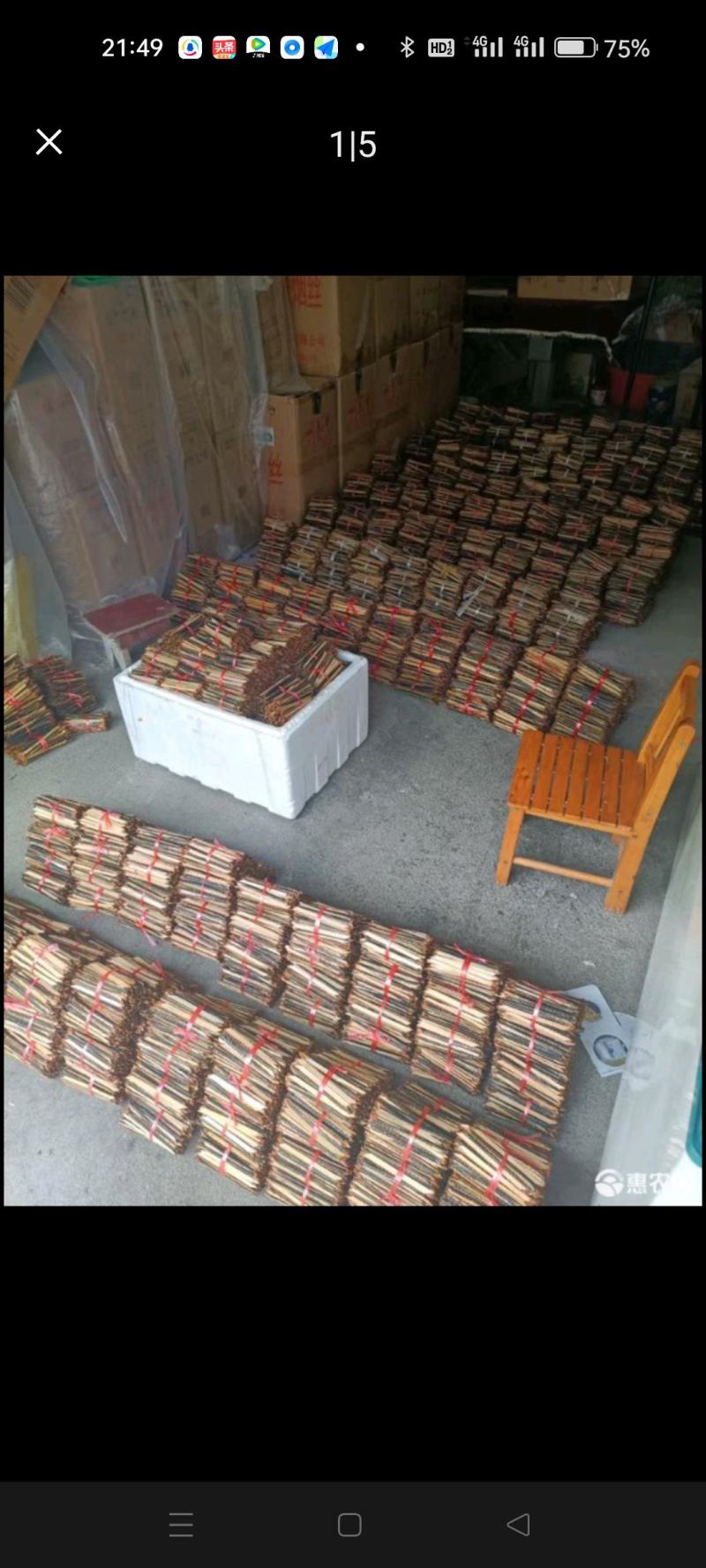 湖北红头蜈蚣产地一手货源可视频看货欢迎来电咨询