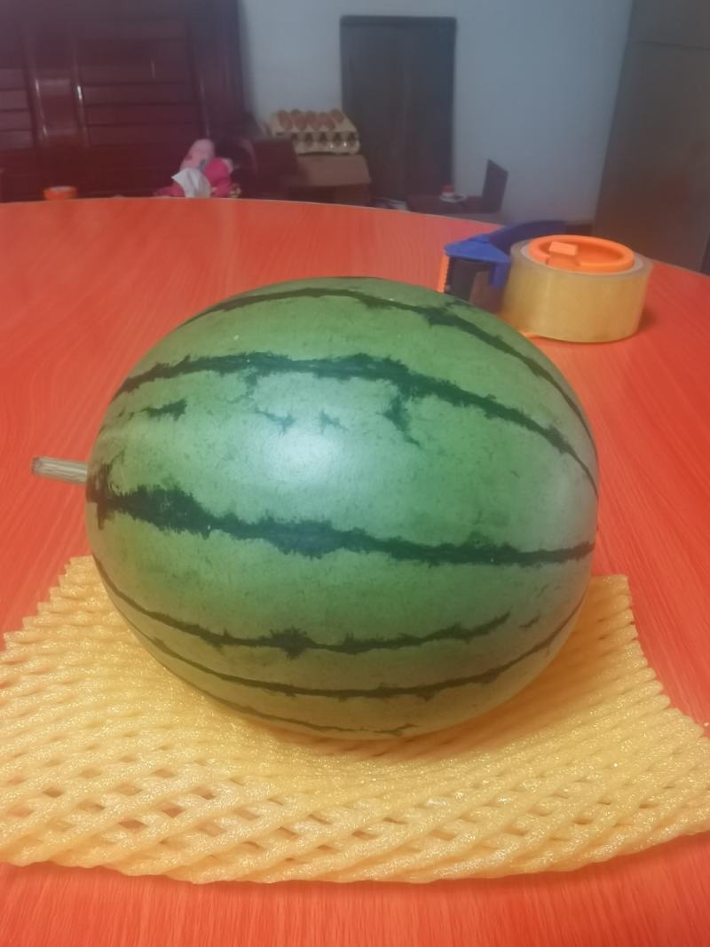 陕西蒲城小糖丸吊蓝西瓜