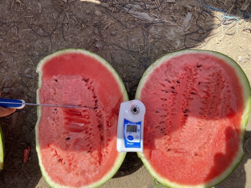 甜王西瓜，甜王，皮薄瓤红耐运输，甜度高，规格齐全