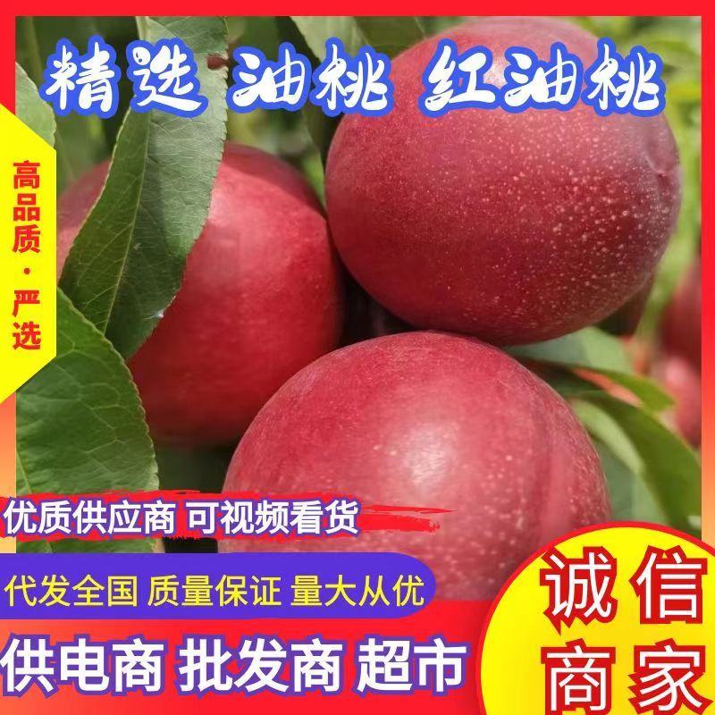 产地直供中油系列油桃，按需包装分拣，视频看货