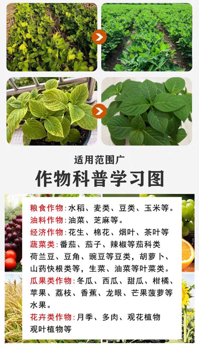 糖醇锌叶面肥，叶绿增厚，色泽鲜靓吸收好增加产量提高品质
