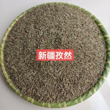 新疆孜然，颗粒大，颜色清秀，香味足。产地直销