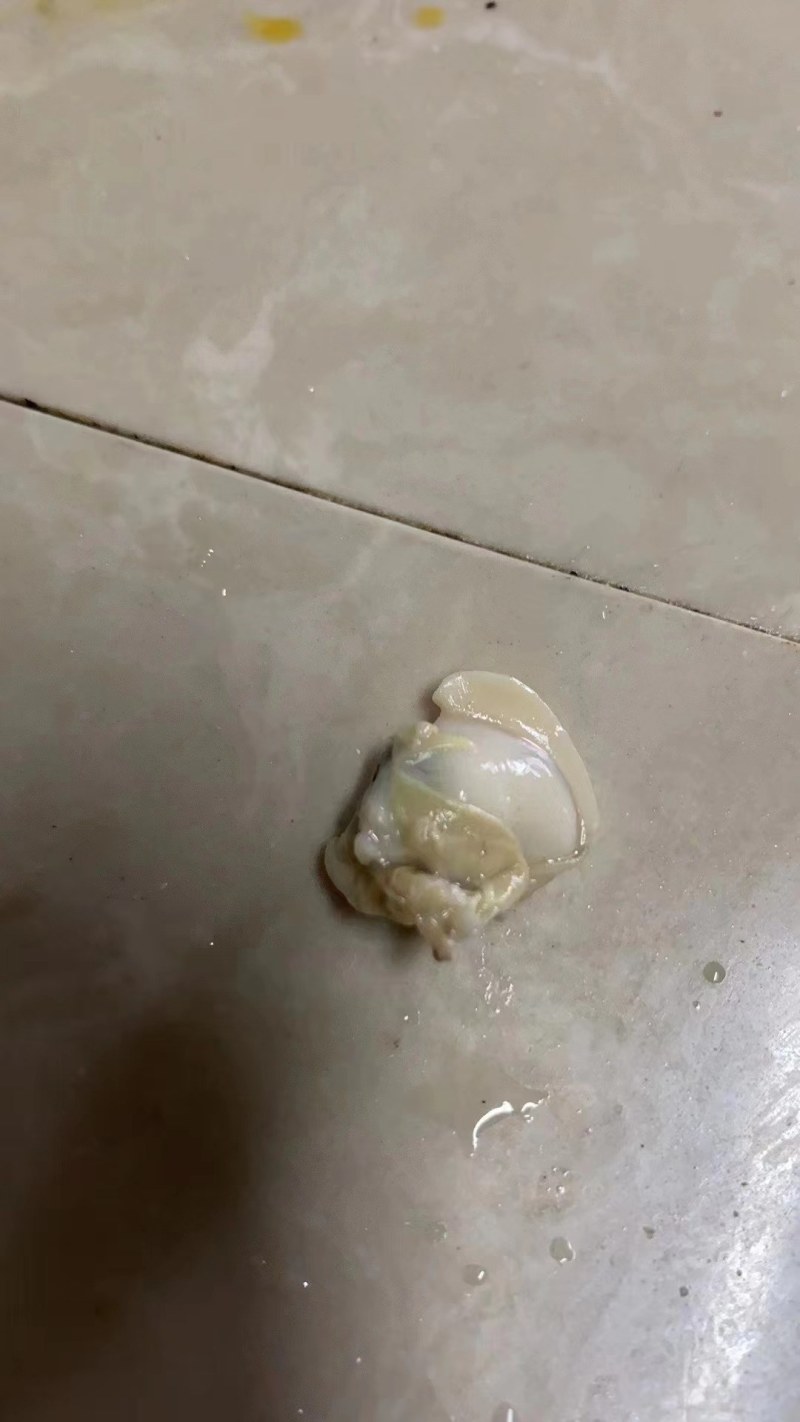 河蚬子