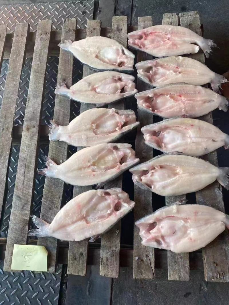 开背巴沙