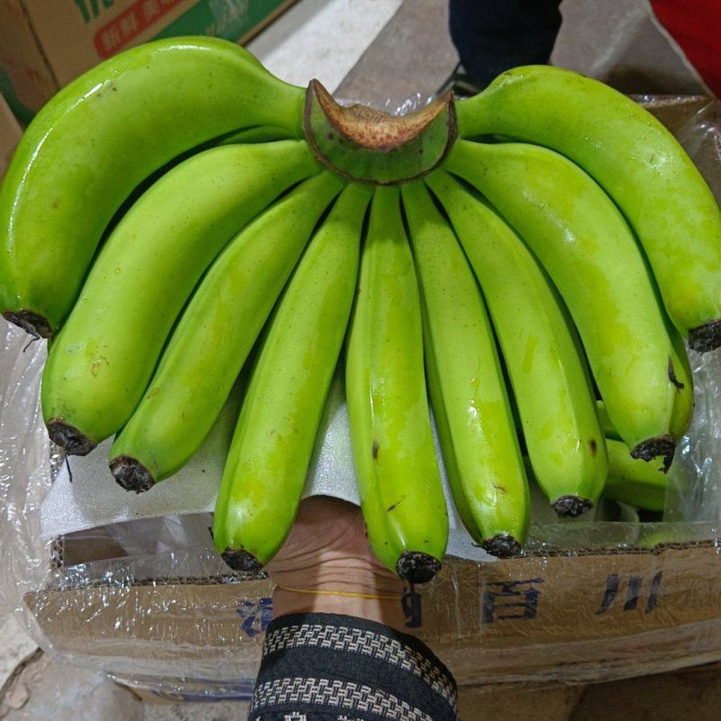 云南蕉广西蕉三把四把蕉不受寒低温蕉果面干净支持全国发货