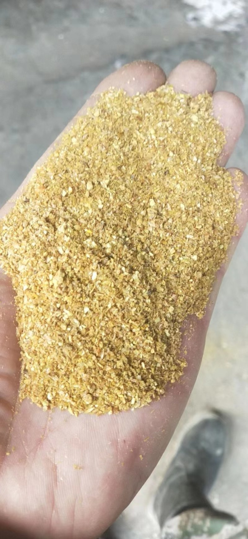 精品河南喷浆玉米皮，厂家供应，保质保量牛羊饲料