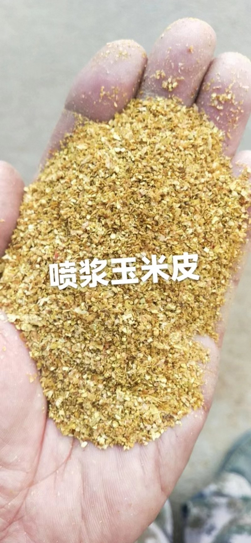 精品河南喷浆玉米皮，厂家供应，保质保量牛羊饲料