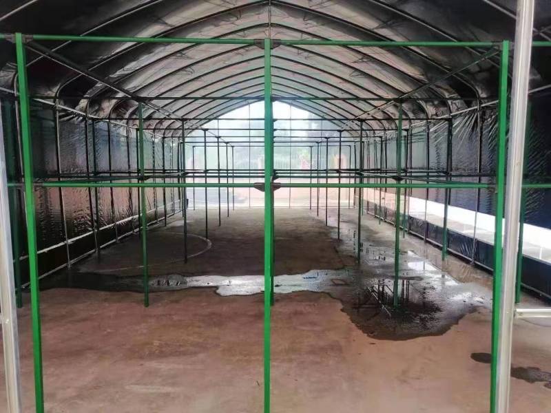 河北新式畜牧养羊温室包塑钢管养殖大棚性价比高使用年限长