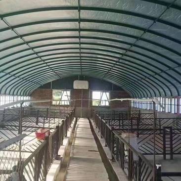 河北新式畜牧养羊温室包塑钢管养殖大棚性价比高使用年限长
