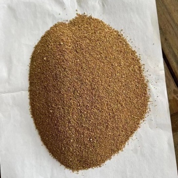 发酵蛋白玉米饲料，厂家供应，大量现货，对接全国