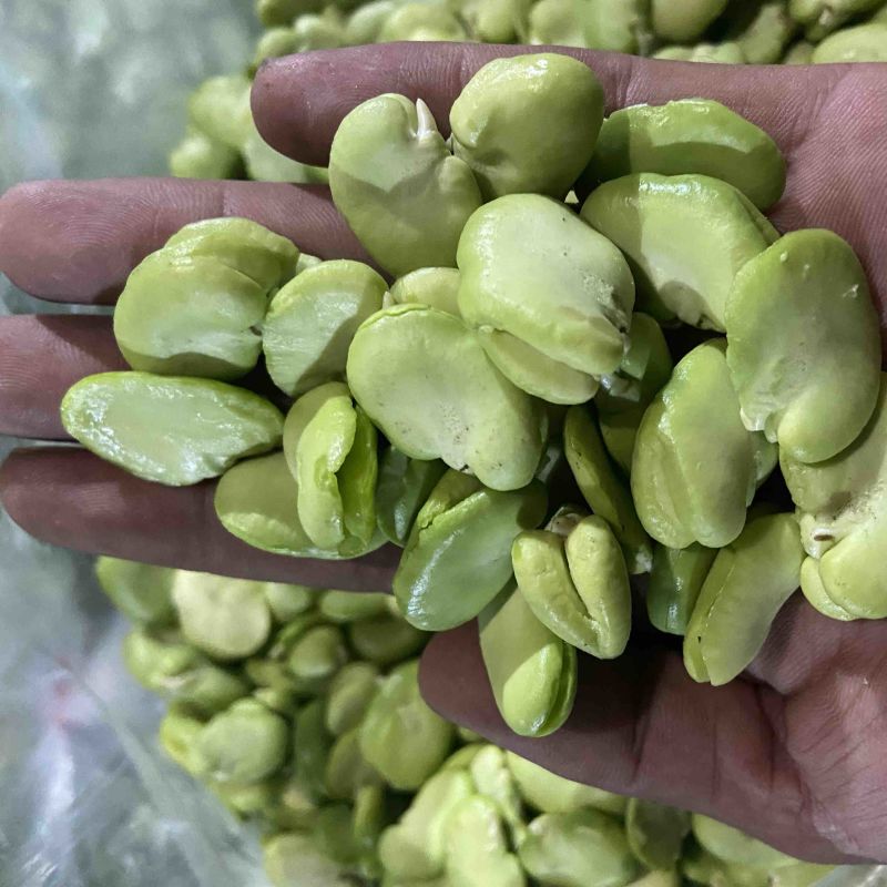 蚕豆、豆米、豆瓣、价格便宜、质量**