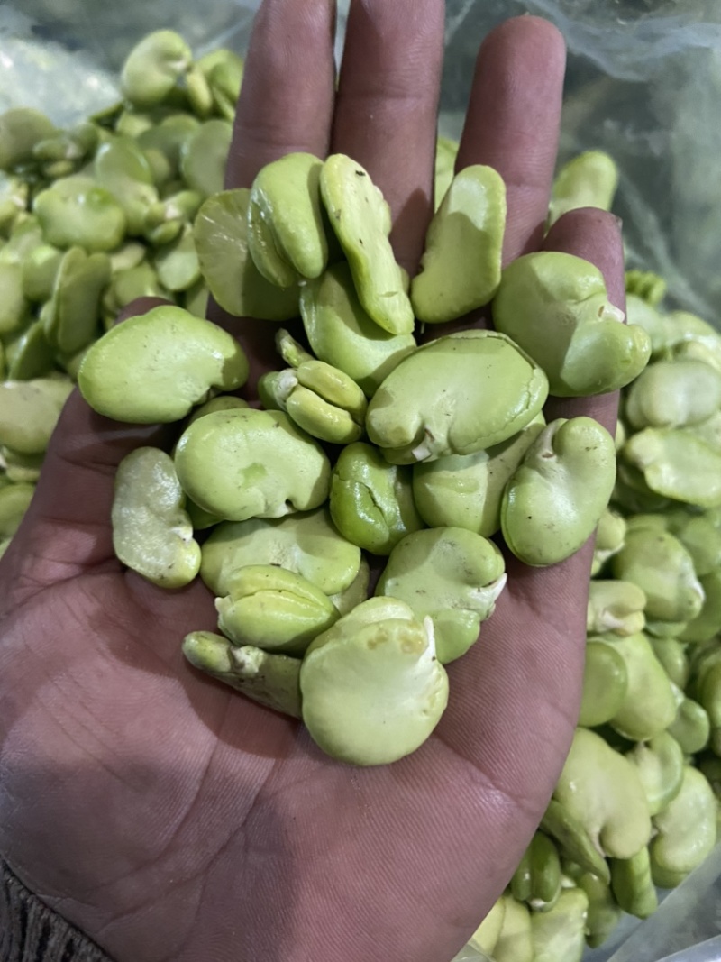 蚕豆、豆米、豆瓣、价格便宜、质量**