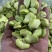 蚕豆、豆米、豆瓣、价格便宜、质量**