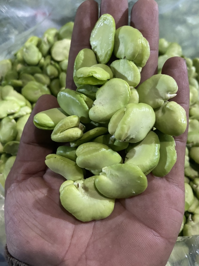 蚕豆、豆米、豆瓣、价格便宜、质量**