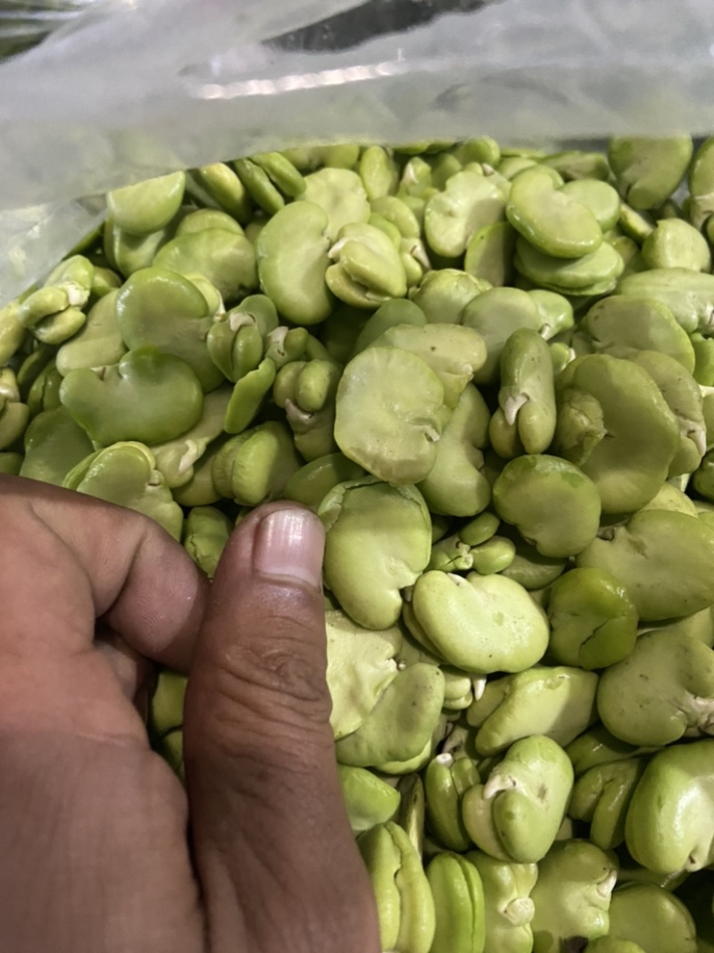 蚕豆、豆米、豆瓣、价格便宜、质量**