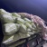 蚕豆、豆米、豆瓣、价格便宜、质量**
